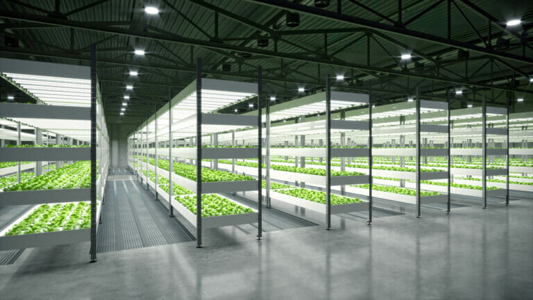 LED - Greenhouse